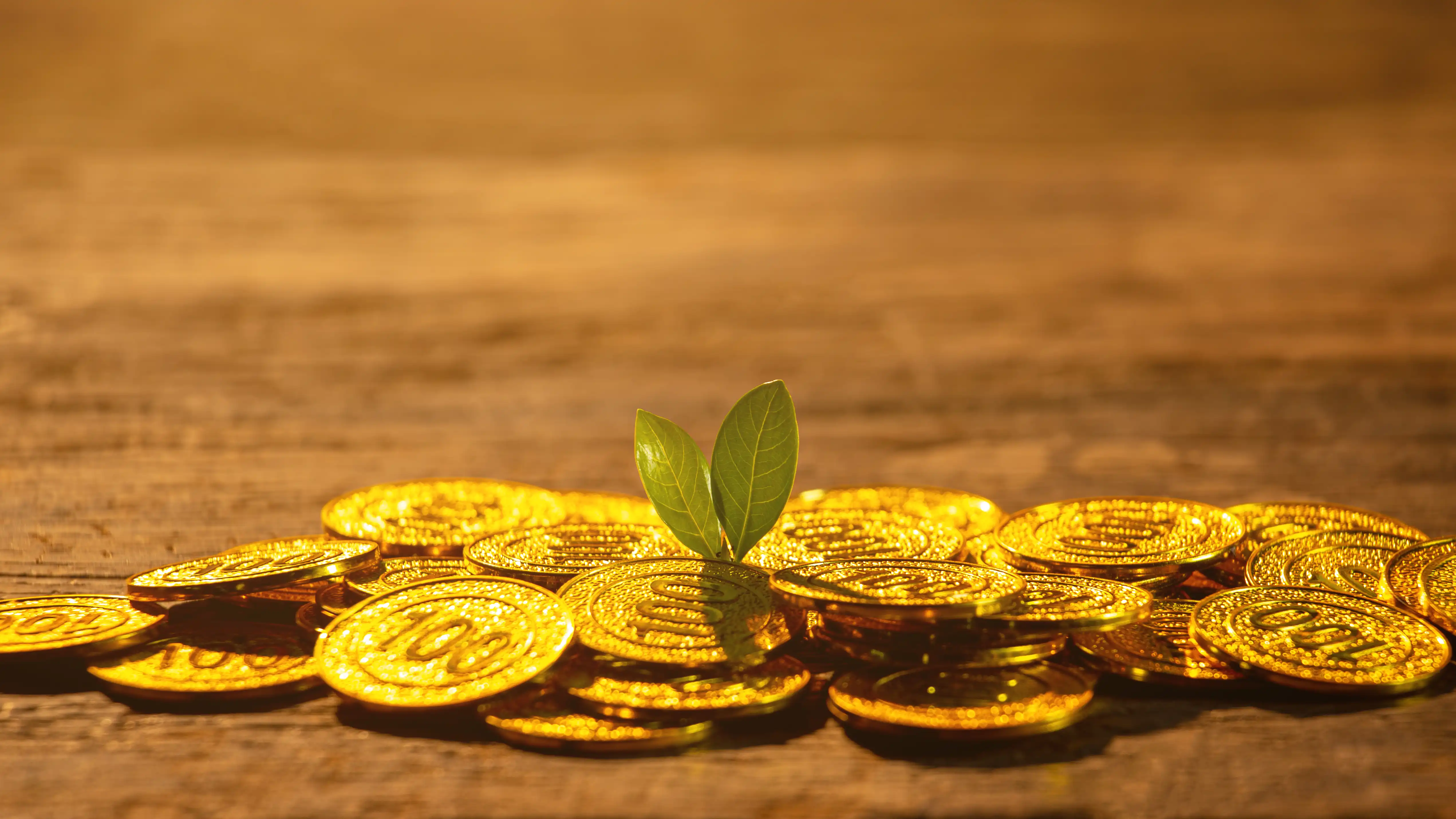 gold investment in sri lanka